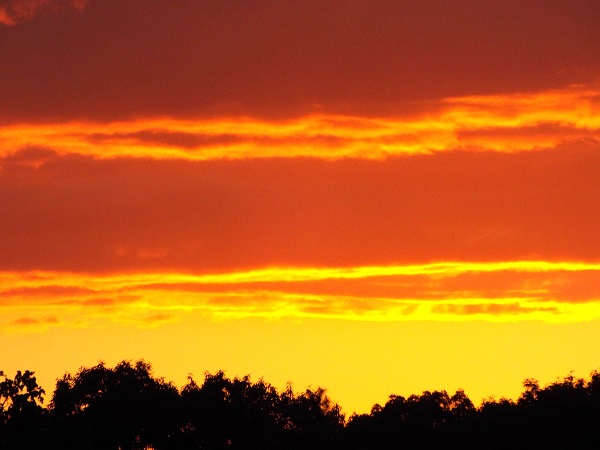 秋の空が好き♪ うろこ雲と夕焼け: 体育部